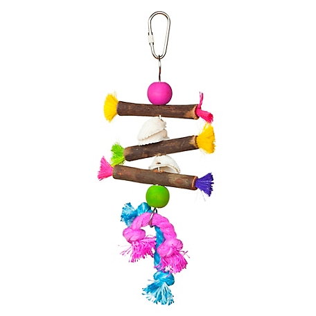 Prevue Pet Products Preen & Pacify Tropical Teasers Shells and Sticks Bird Toy 62505