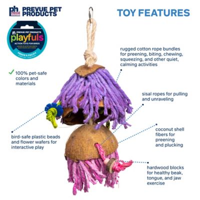 Image showing  Preen and Pacify Car Wash Bird Toy