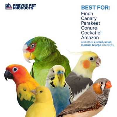 Image showing  Preen and Pacify Calypso Creations Short Stack Bird Toy