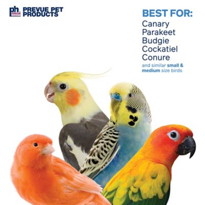 Image showing  Preen and Pacify Calypso Creations Over the Rainbow Bird Toy