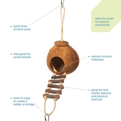 Image showing  Prevue Hendryx Naturals Forage and Engage Coco Hideaway with Ladder Bird Toy