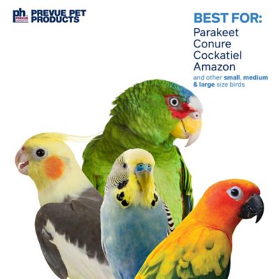 Image showing 5 th Prevue Pet Products Prevue Hendryx Naturals Forage and Engage Coco Hideaway with Ladder Bird Toy