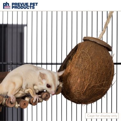 Image showing 6 th Prevue Pet Products Prevue Hendryx Naturals Forage and Engage Coco Hideaway with Ladder Bird Toy