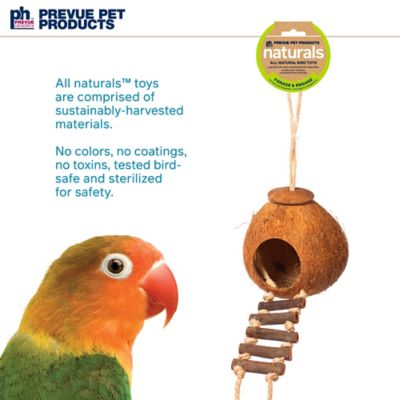 Image showing 7 th Prevue Pet Products Prevue Hendryx Naturals Forage and Engage Coco Hideaway with Ladder Bird Toy