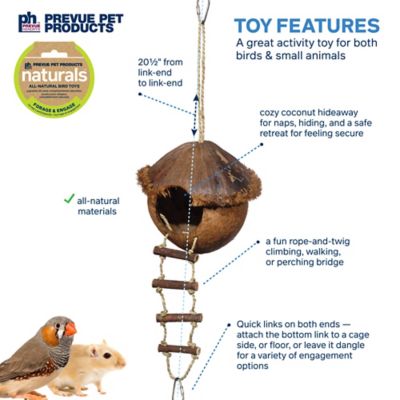 Image showing  Naturals Forage and Engage Island Hideaway Bird and Small Animal Toy