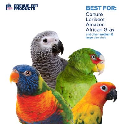 Image showing  Naturals Physical and Mental Brownie Snack Bird Toy