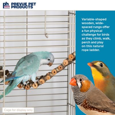 Image showing  Naturals Rope Ladder Climbing Activity Bird Toy