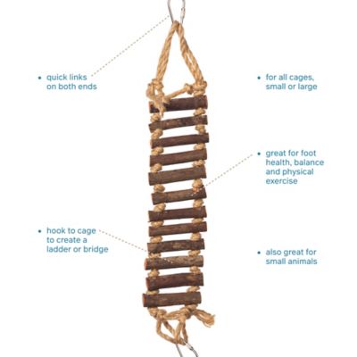Image showing  Naturals Rope Ladder Climbing Activity Bird Toy