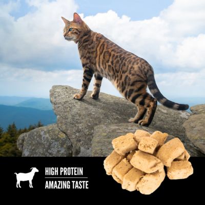 Image showing  Grain Free Freeze Dried Tundra Cat Treats