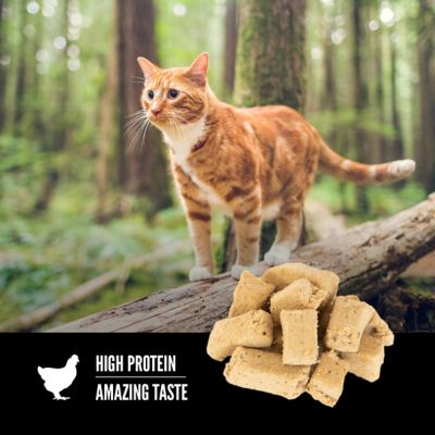Image showing  Original Freeze-Dried Cat Treats, 1.25 oz.