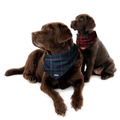 Image showing  Red Plaid Pet Bandana