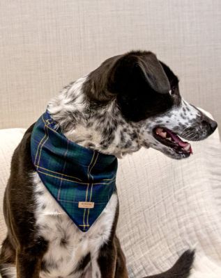 Image showing  Green and Navy Plaid Pet Bandana, 505821