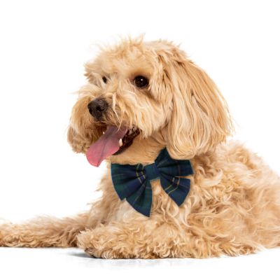 Image showing  Green and Navy Plaid Pet Bow, 505826