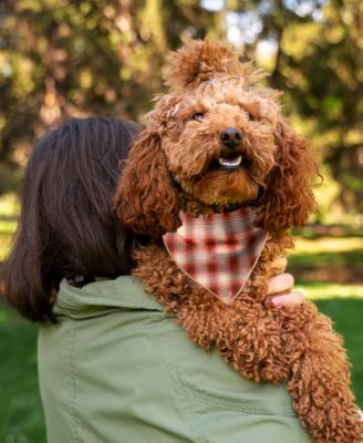 Image showing  Fall Plaid Pet Bandana, 506383
