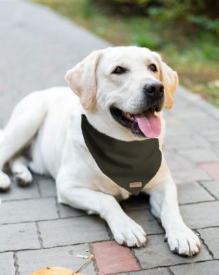 Image showing  Corduroy Pet Bandana, S505431