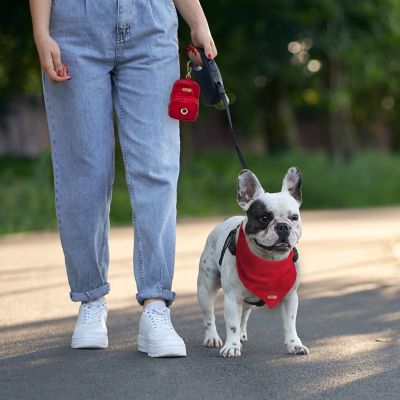 Image showing  Red Velvet Pet Bandana