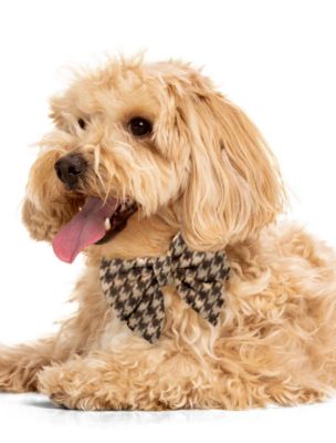Image showing  Houndstooth Pet Bow, 511507