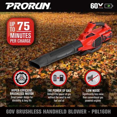 Image showing  190 MPH/680 CFM 60V Cordless Handheld Leaf Blower, Battery and Charger Included