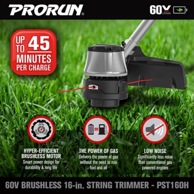 Image showing  17 in. 60V Straight Shaft Cordless String Trimmer, Battery and Charger Included