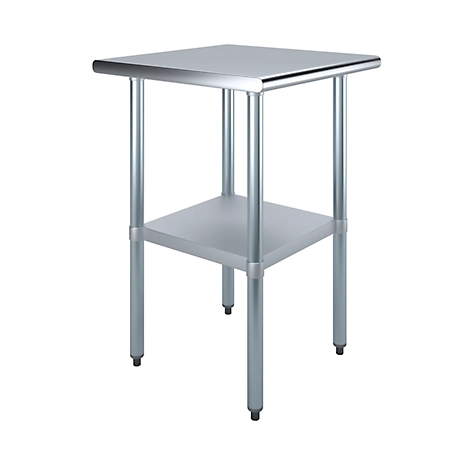 AmGood 24 in. x 24 in. Stainless Steel Table With Shelf