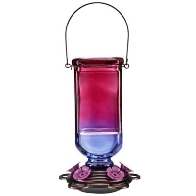 Royal Wing Ombre Mason Jar Hummingbird Feeder, 25 oz. Capacity