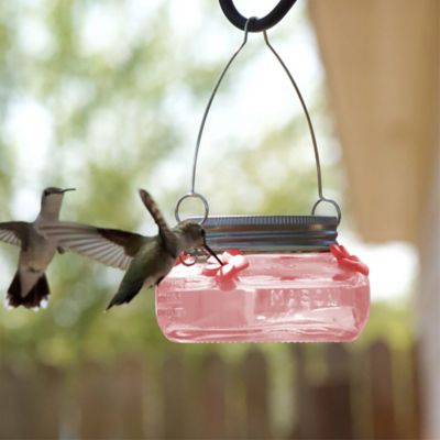Image showing  6 oz. Glass Mason Jar Hummingbird Feeder, Pink
