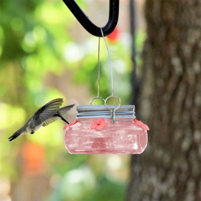 Image showing  6 oz. Glass Mason Jar Hummingbird Feeder, Pink