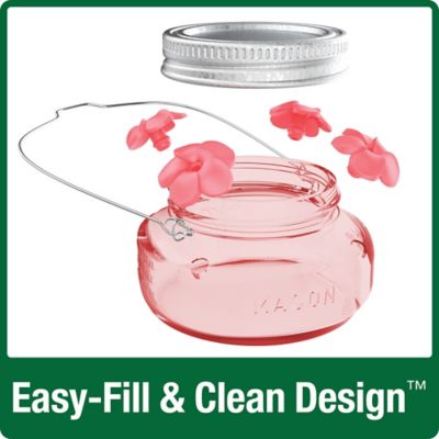 Image showing  6 oz. Glass Mason Jar Hummingbird Feeder, Pink