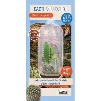 Toys By Nature Carefree Capsules - Cacti Collection