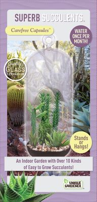 Toys By Nature Carefree Capsules - Superb Succulents