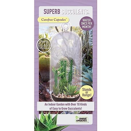 Toys By Nature Carefree Capsules - Superb Succulents
