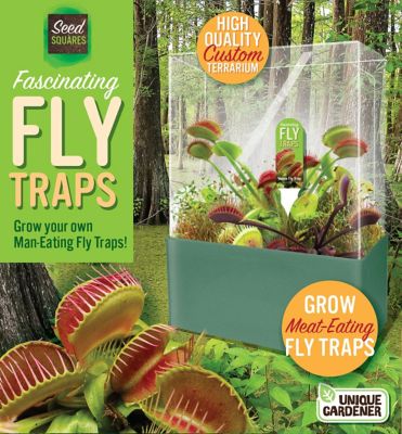 Toys By Nature Seed Squares - Fascinating Flytraps