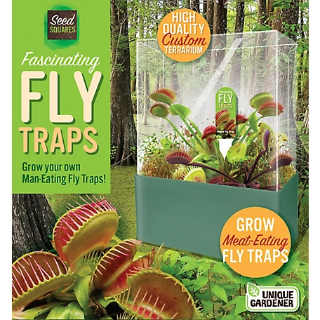 Toys By Nature Seed Squares - Fascinating Flytraps