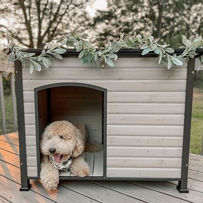 Image showing  Heavy-Duty Indoor/Outdoor Wooden Dog Crates House with Iron Frame, 43 x 29 x 33 in.