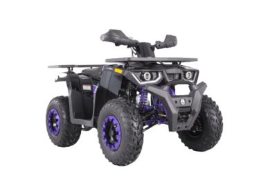 Coleman Powersports 169cc Gas-Powered Adult ATV, AT200-BP ATV