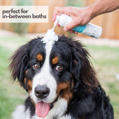 Image showing  No-Rinse Waterless Foam All-Natural Toxin-Free and Anti-Itch Fresh Breeze Scented Dry Shampoo for Dogs, 8 oz.