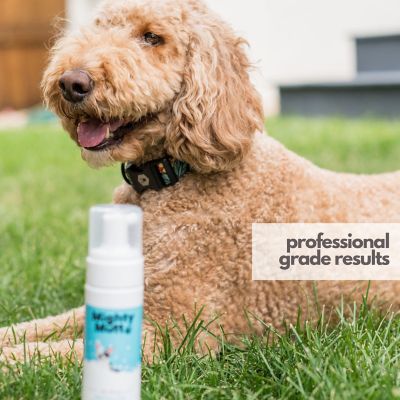 Image showing 5 th Mighty Mutt No-Rinse Waterless Foam All-Natural Toxin-Free and Anti-Itch Dry Shampoo for Dogs Refill, 30 oz.