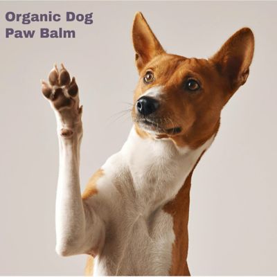 Image showing  Healing and Soothing Organic Toxin-Free Paw and Nose Balm for Dogs