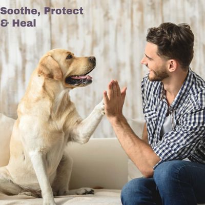 Image showing  Healing and Soothing Organic Toxin-Free Paw and Nose Balm for Dogs