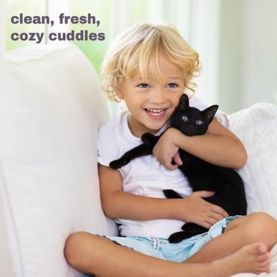 Image showing  Dry Shampoo for Cats, No-Rinse Waterless Foam All-Natural, Toxin-Free and Anti-Itch, 8 oz., 478