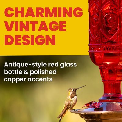 Image showing  20 oz. Jewel Hummingbird Feeder, Red