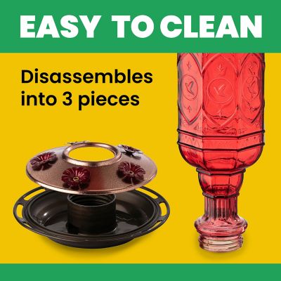 Image showing  20 oz. Jewel Hummingbird Feeder, Red