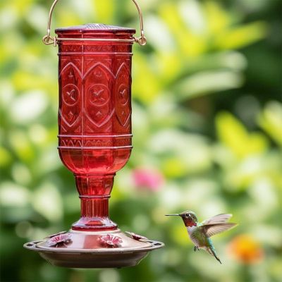 Image showing 6 th More Birds 20 oz. Jewel Hummingbird Feeder, Red