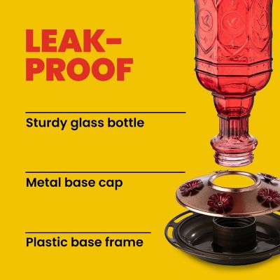 Image showing 7 th More Birds 20 oz. Jewel Hummingbird Feeder, Red