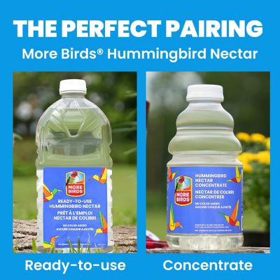 Image showing 9 th More Birds 20 oz. Jewel Hummingbird Feeder, Red