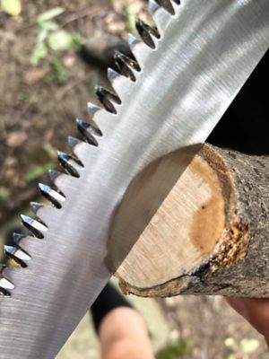 Image showing  Hand Saw for Telescoping Pole Saws, TTP-01HPS