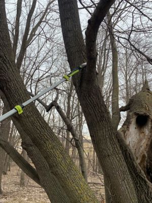 Image showing  7 in. Telescoping Pole Saw, TTP-025PS