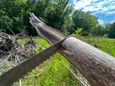 Image showing 5 th Timber Tuff 7 in. Telescoping Pole Saw, TTP-025PS