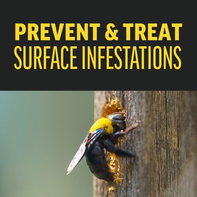 Image showing 6 th Amdro 4/1 gal. Quick Kill Ready-to-Use Carp Bee Killer