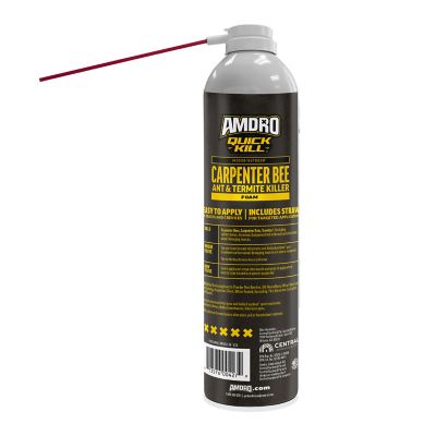 Image showing  8/18 oz. Quick Kill Carp Bee Ant Term Foam